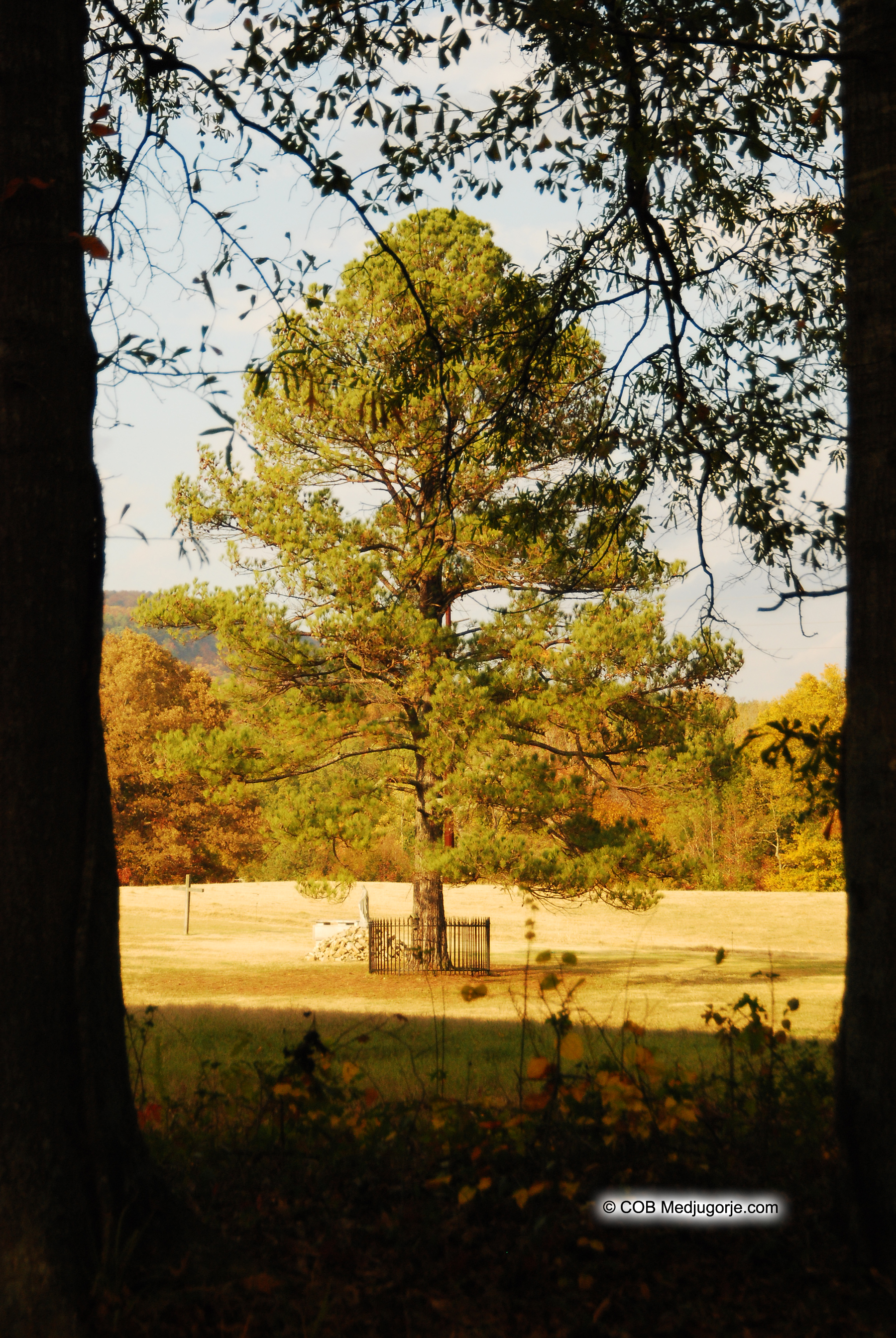 field of apparitions